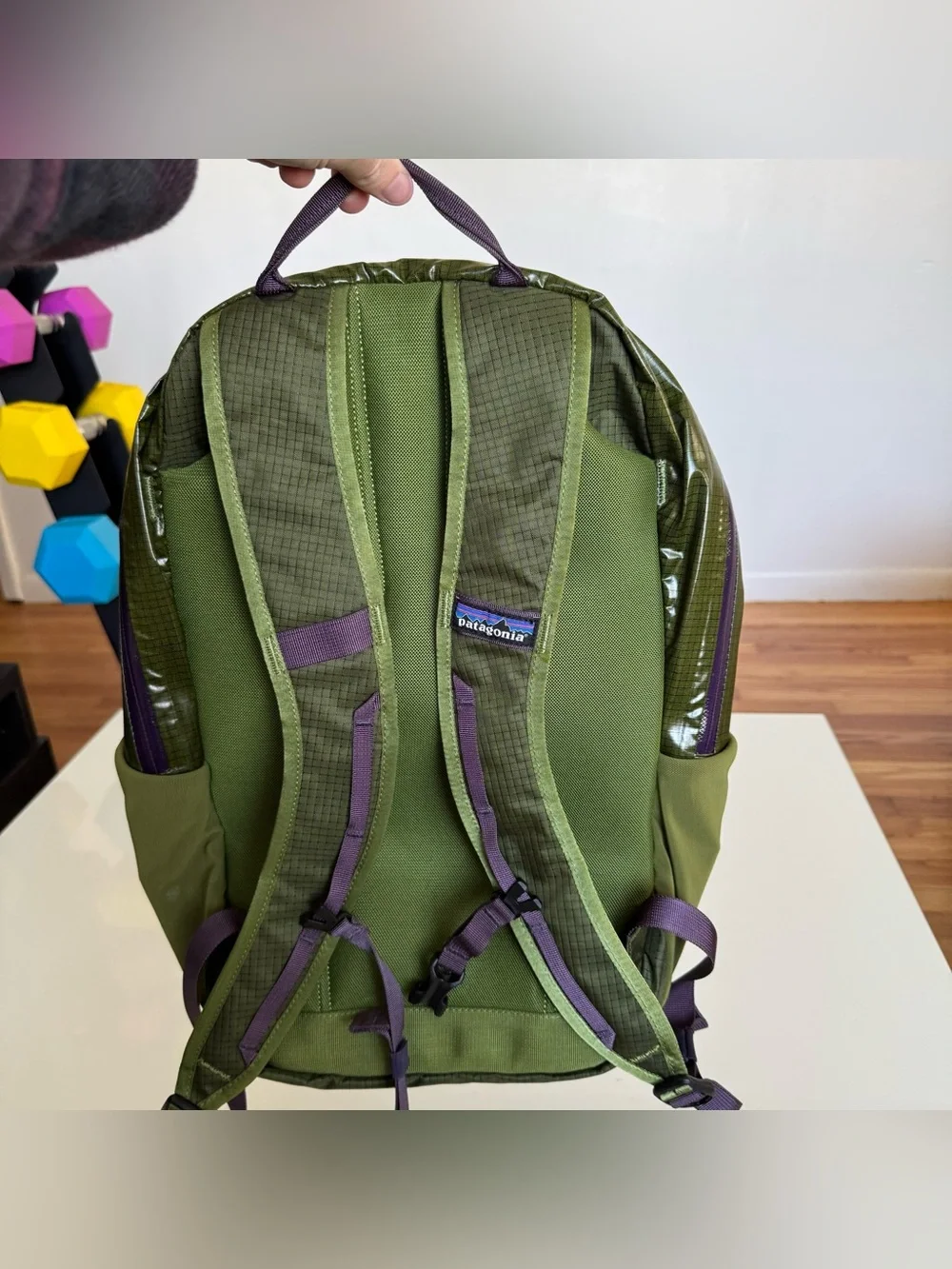 Patagonia Black Hole Pack 26L Backpack Bag Lightweight 49050 SPTG Green Purple
